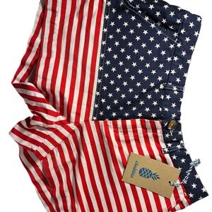 Chubbies Red, White, Blue Striped Shorts